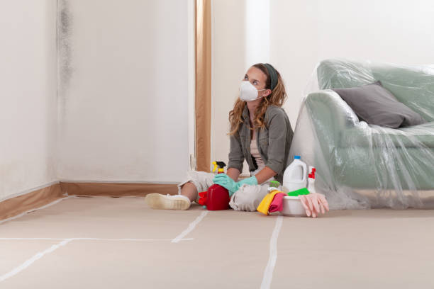 Reliable Basement Mold Remediation contractor in Cary, IL by WQB Mold Removal